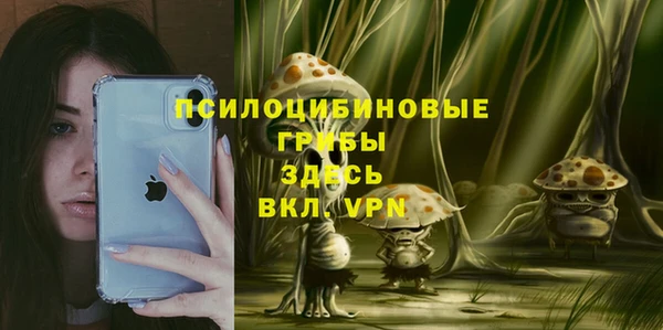 кокаин колумбия Дмитриев