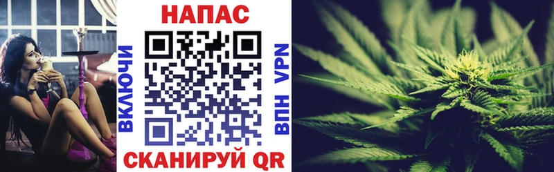 Шишки марихуана Amnesia  hydra зеркало  Камызяк 